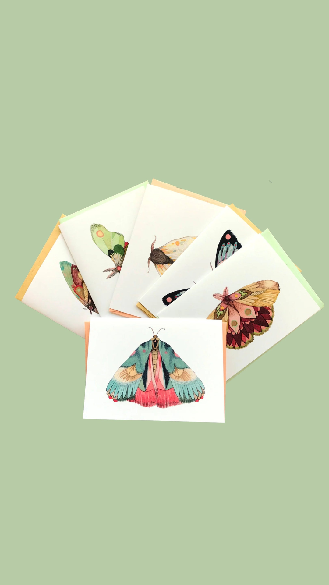 Jess Polanshek - Polanshek of the Hills