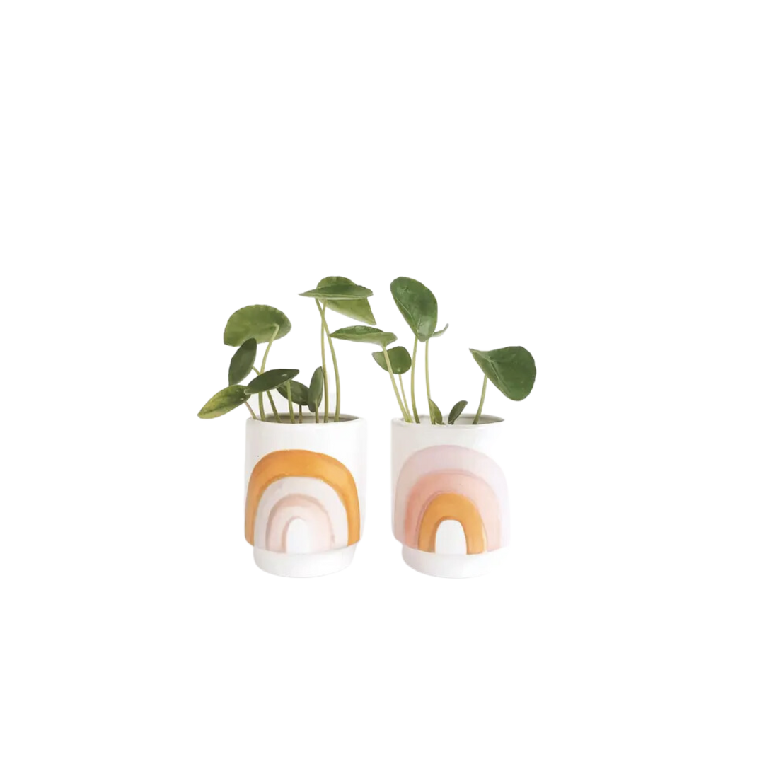 Rainbow Pots