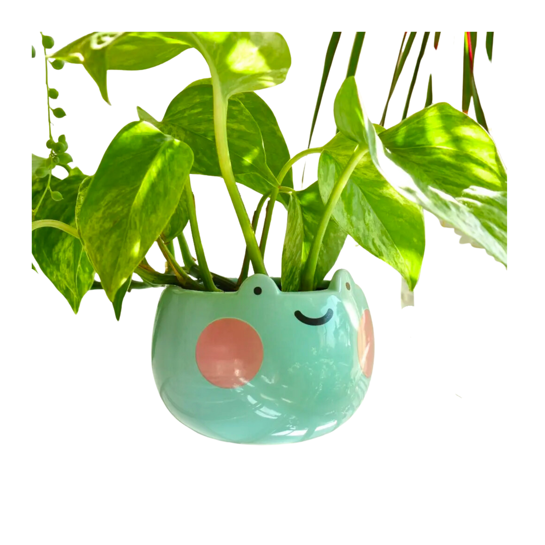 Ebbo Frog Planter