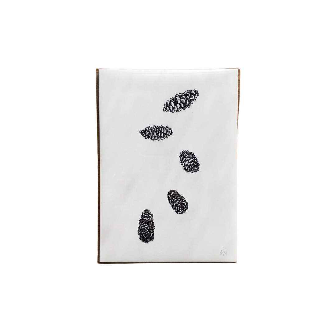 Pinecones 5" x 7" Art Print