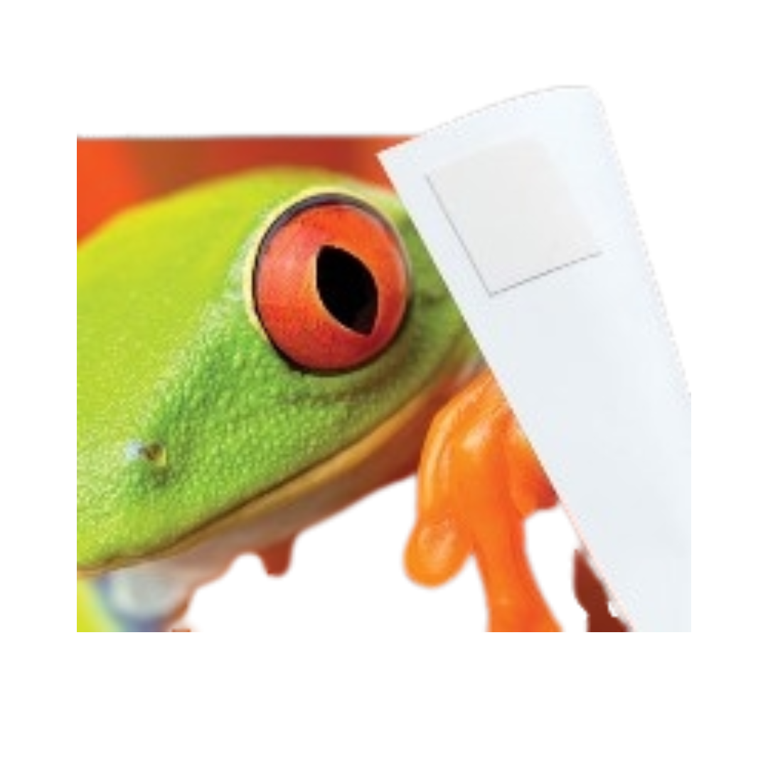 LineCo Infinity Photo Tabs