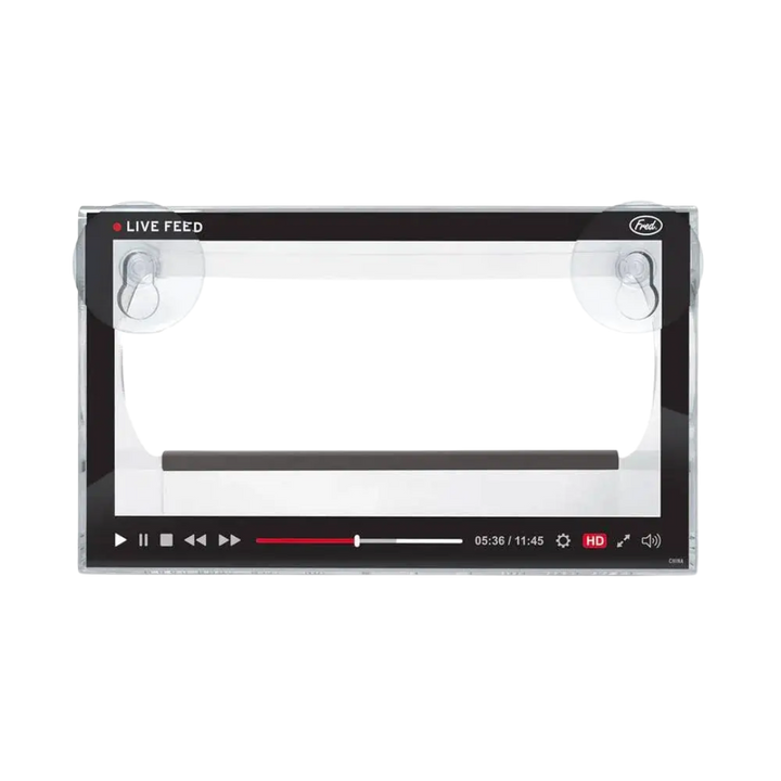 Howligans Bird Feeder - Live Feed