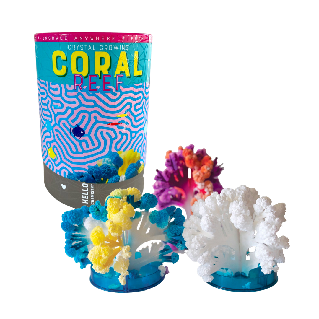Crystal Growing Coral Reef