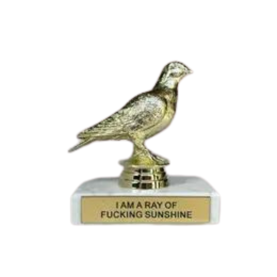 I Am a Ray of Fucking Sunshine Participation Trophy