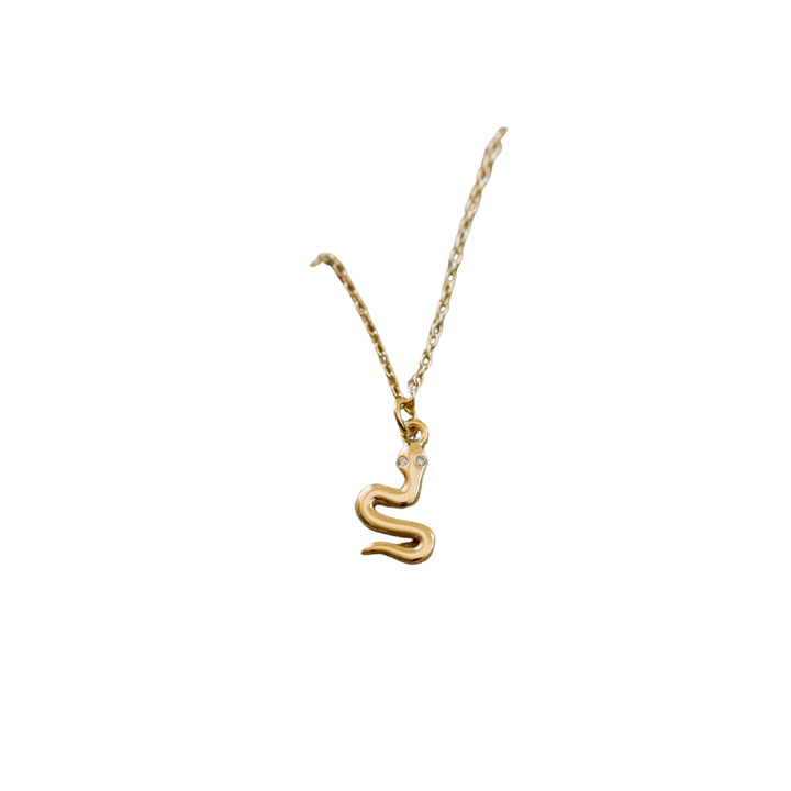Snake Charmer Necklace