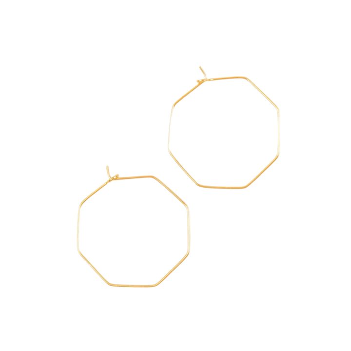 Small Hex Earrings