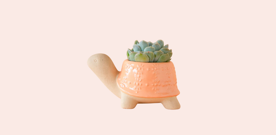 HAPPY SPRING! 🌷 Cute new planters, plant snips and more!