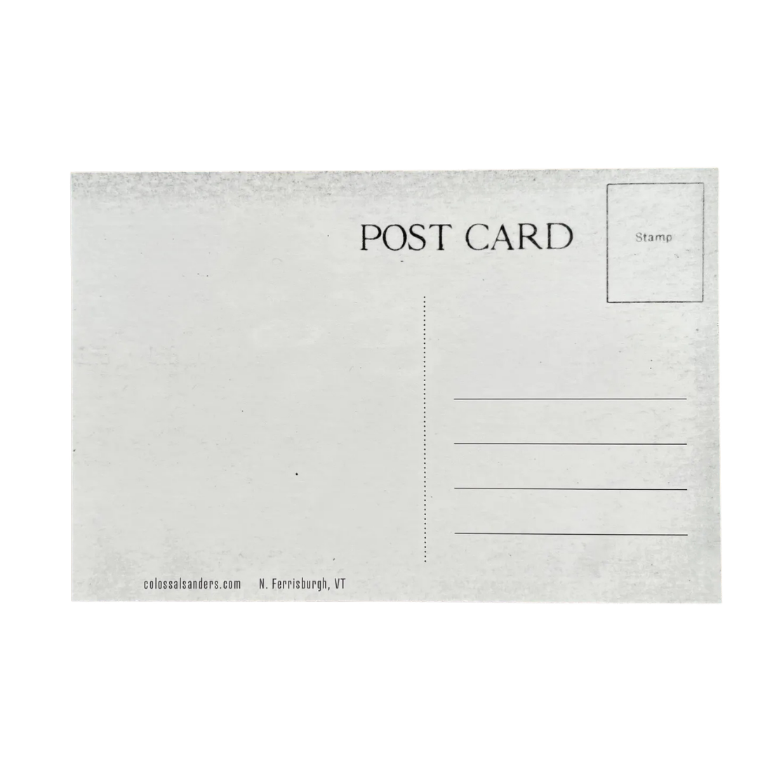 Vergennes Moose Rodeo Animal Postcard