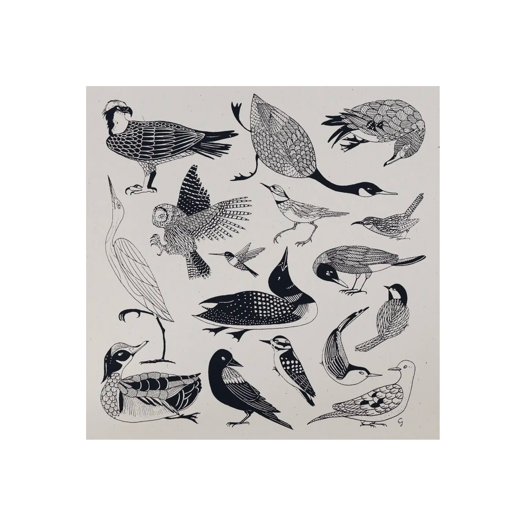 New England Birds Print