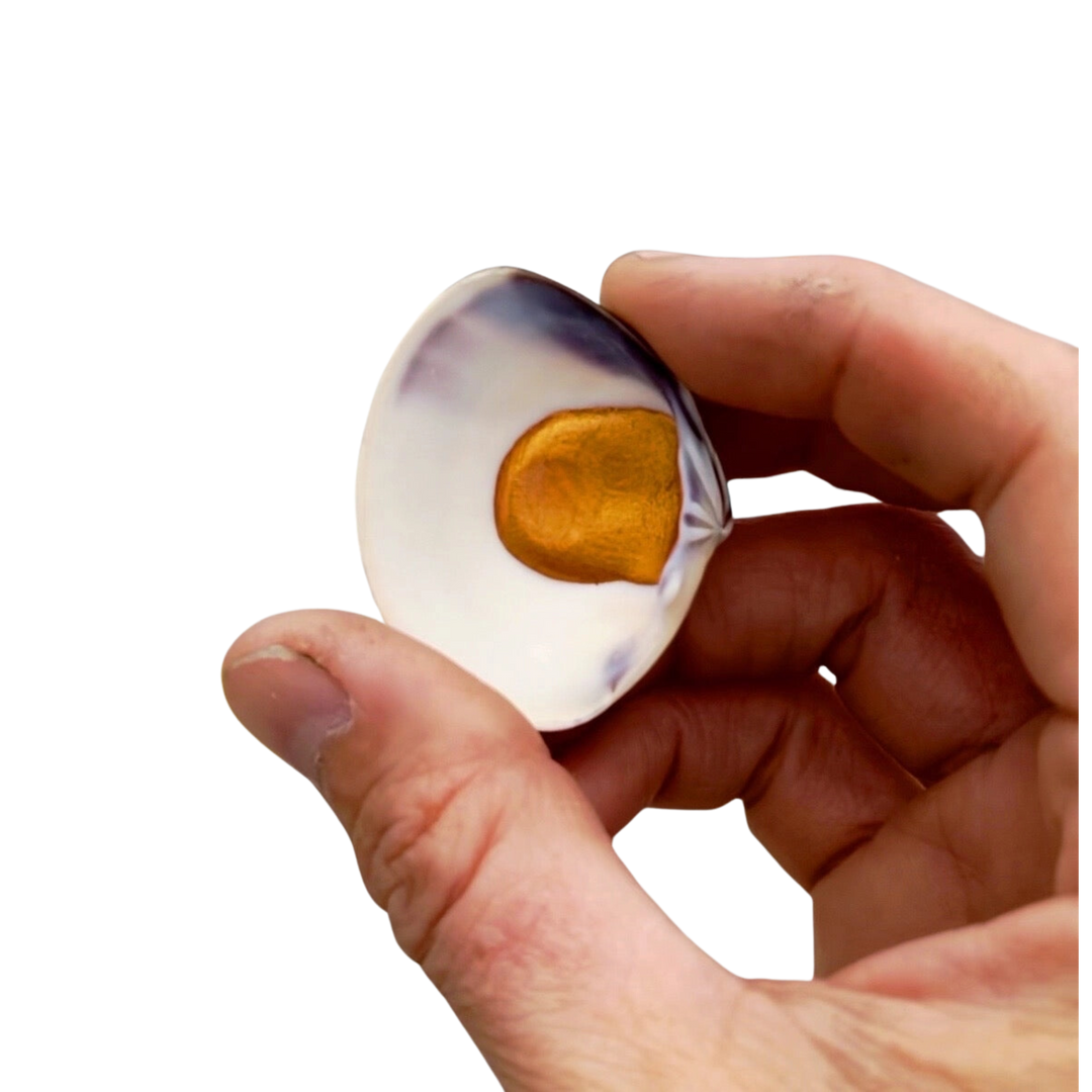 Shell Paints