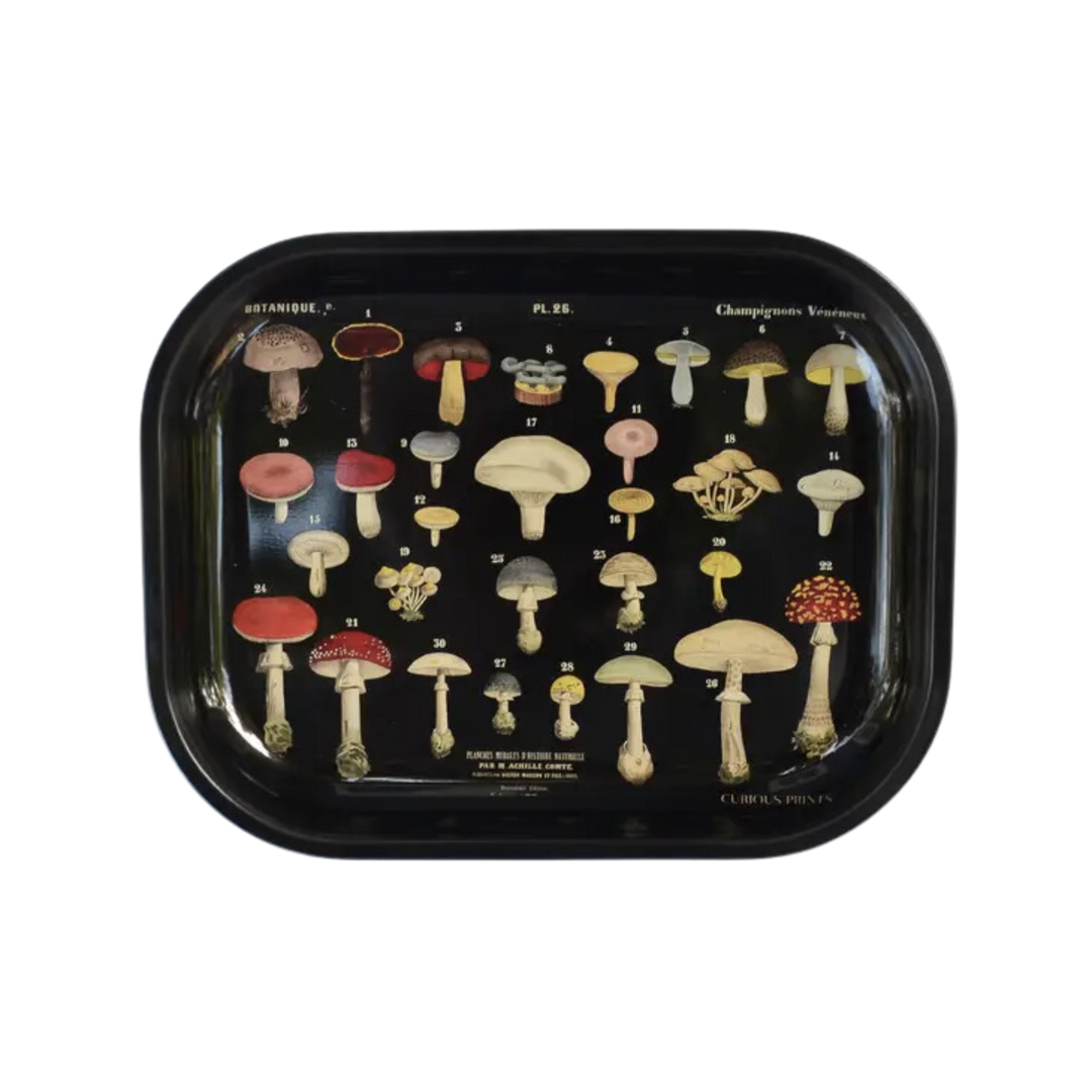 Small Metal Black Mushroom Ritual Tray / Vintage Fungi