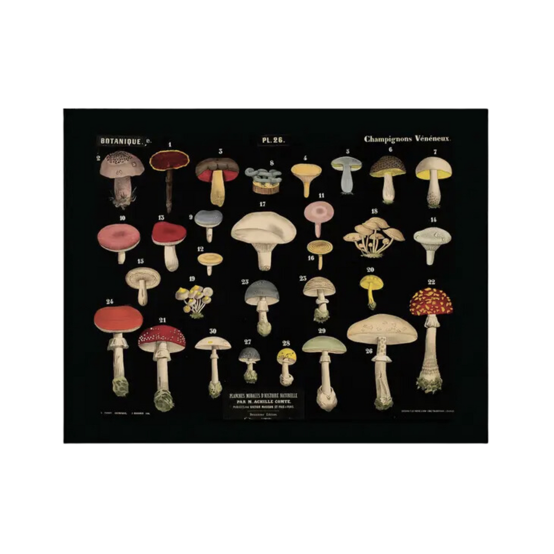 Vintage Black Mushroom Print 26