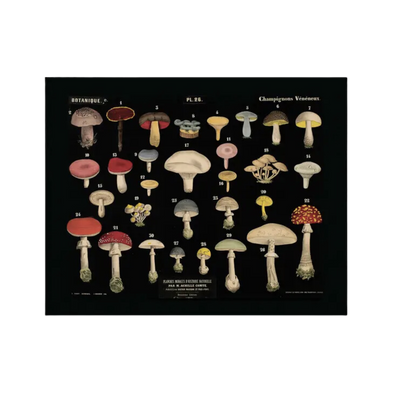 Vintage Black Mushroom Print 26