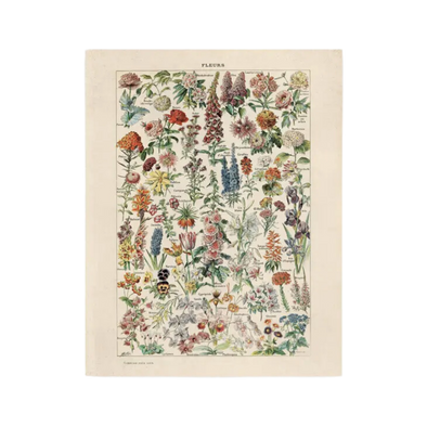 Vintage Botanical Fleurs Flower Print
