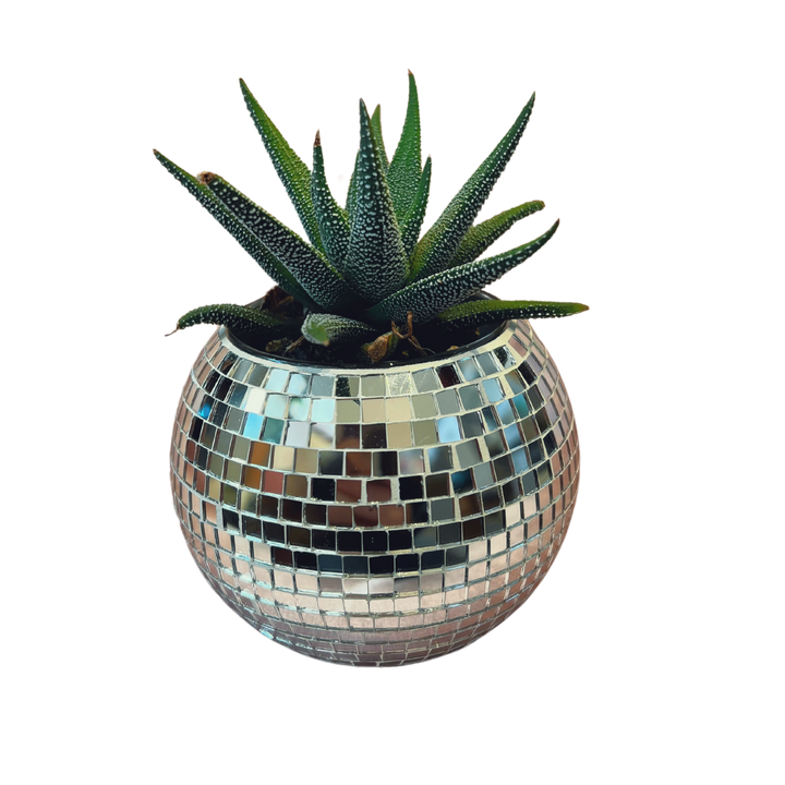 Disco Ball Planter