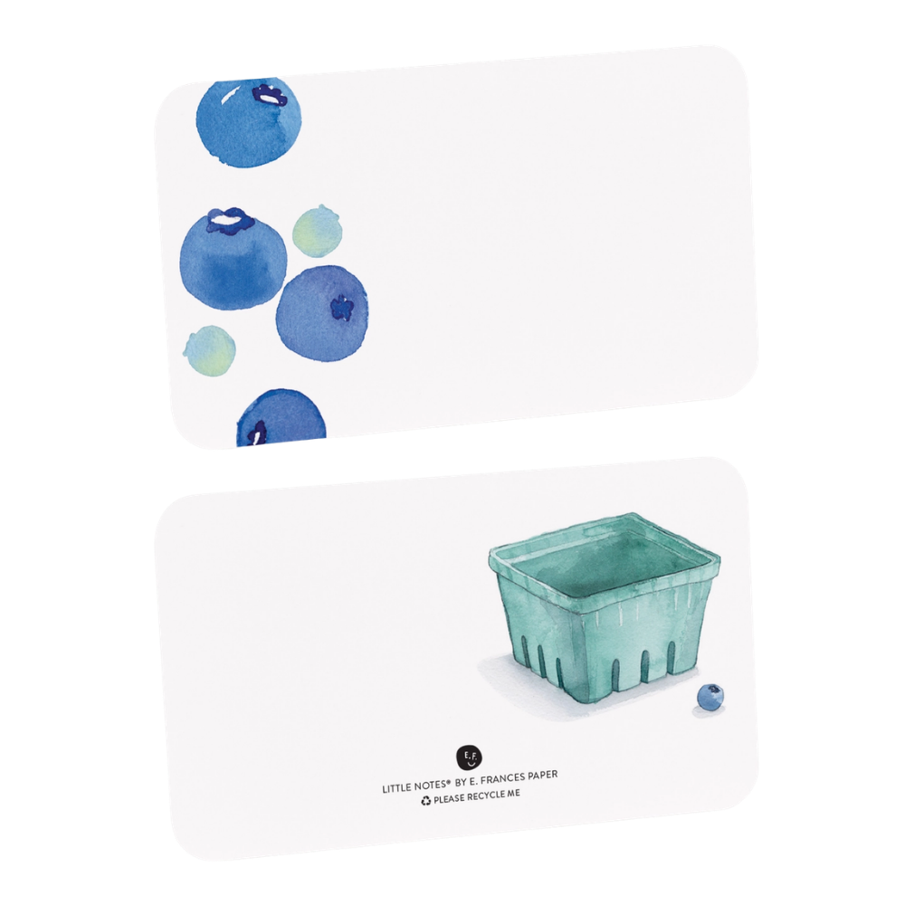 Blueberry Little Notes Notecards (55ct)