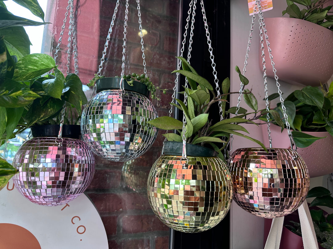 6" Disco Ball Hanging Planter