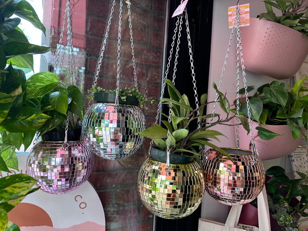 6" Disco Ball Hanging Planter