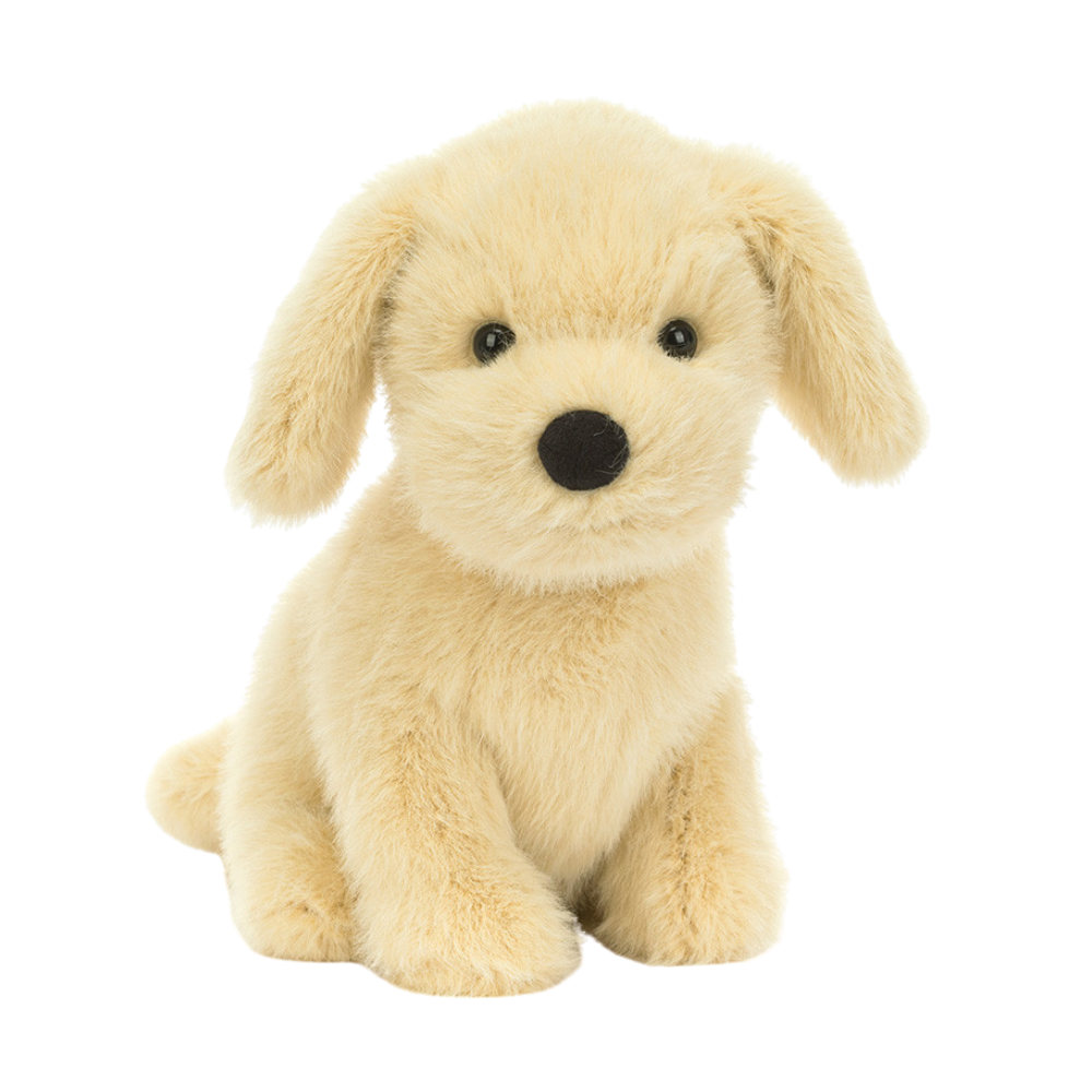 Golden Puppy