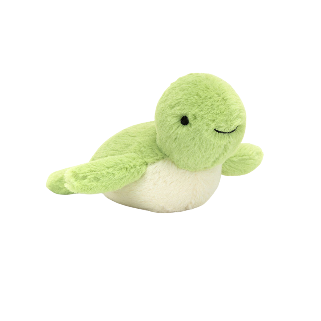 Fluffy Turtle
