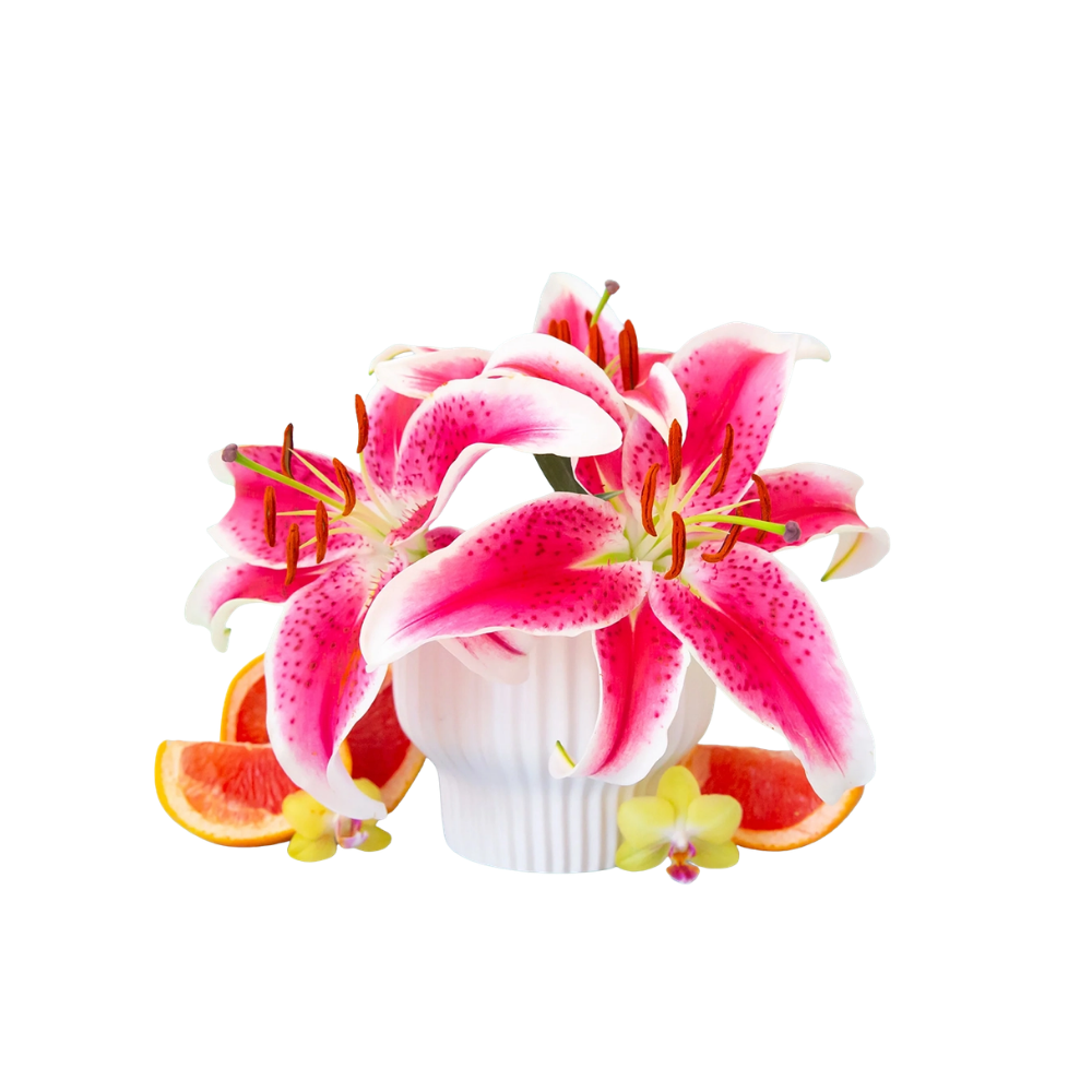 Presley Pedestal Vase White