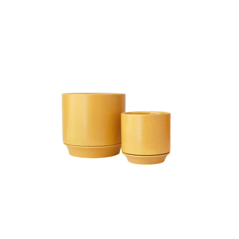 Honey Speckle Parker Planter with Trivet