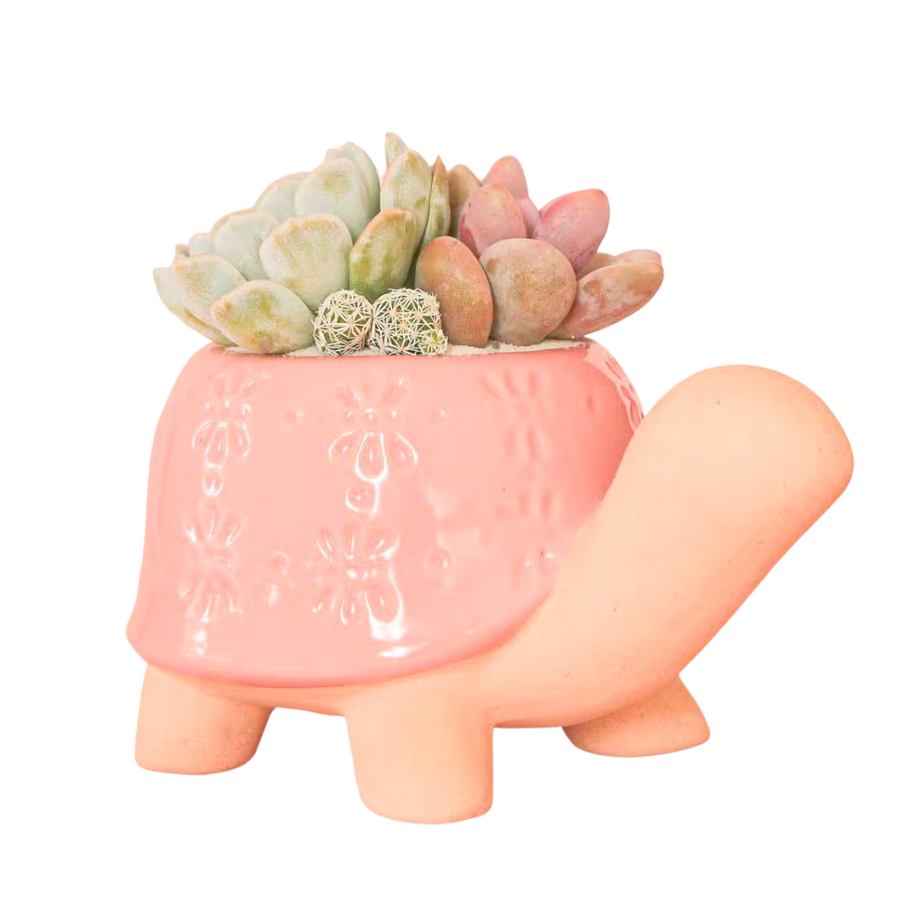 Turtle Planter - Pink