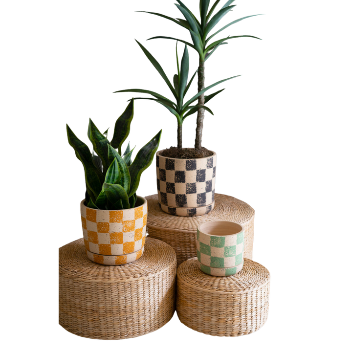 Checkered Clay Planter with Tray