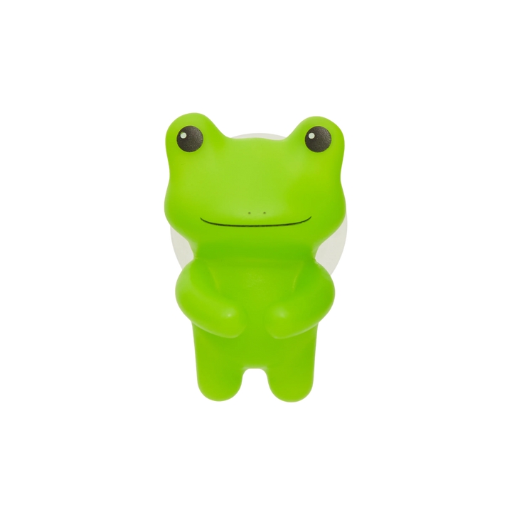 Frog Toothbrush Holder