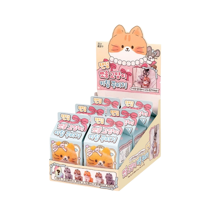 Fluffy Cat Diy Keychain Kit – Surprise Blind Box Charm