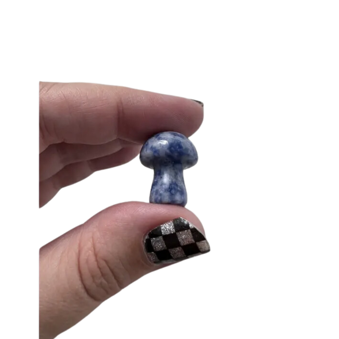 Blue Spot Jasper Mini Mushroom
