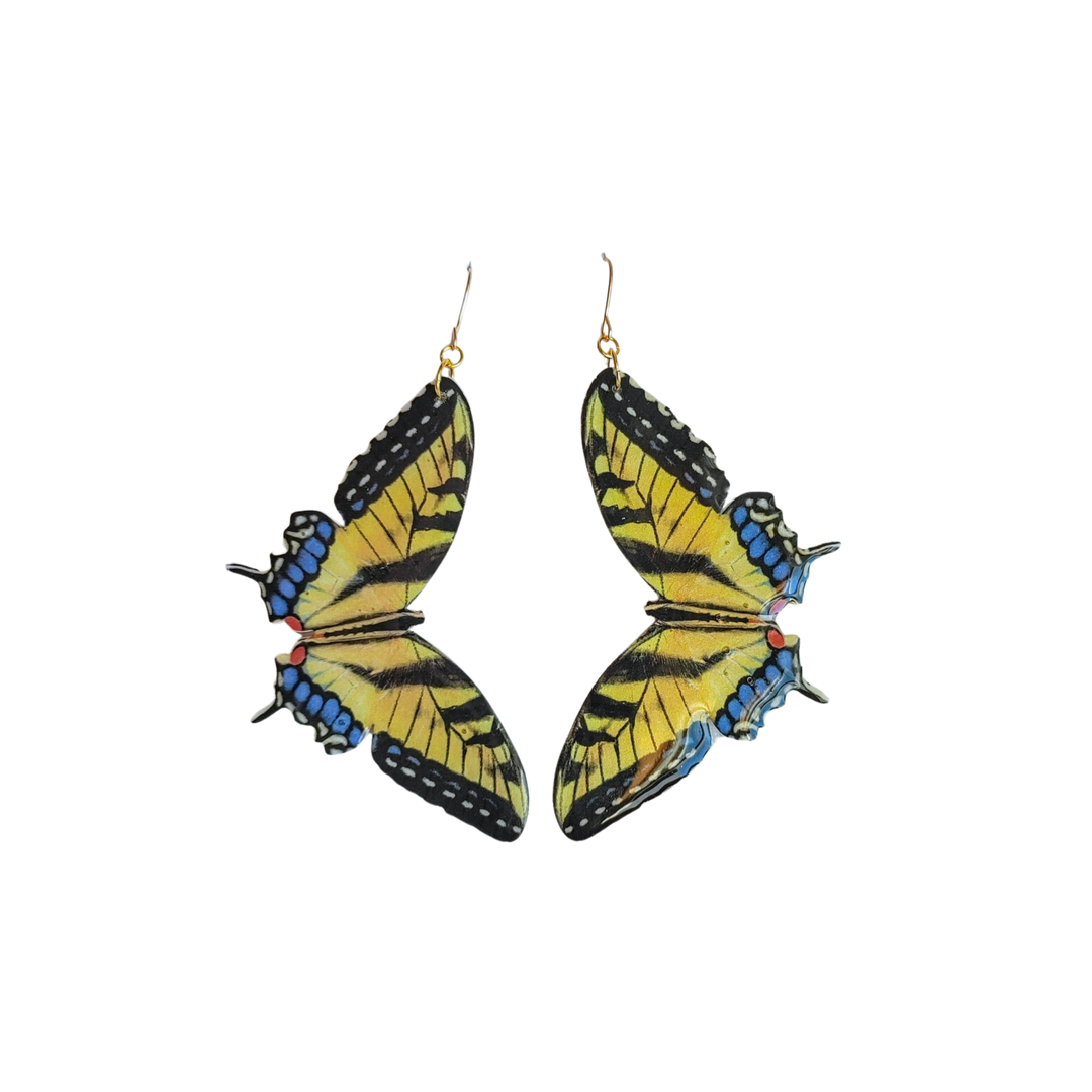 Blue Tip Tiger Swallowtail Butterfly Earrings