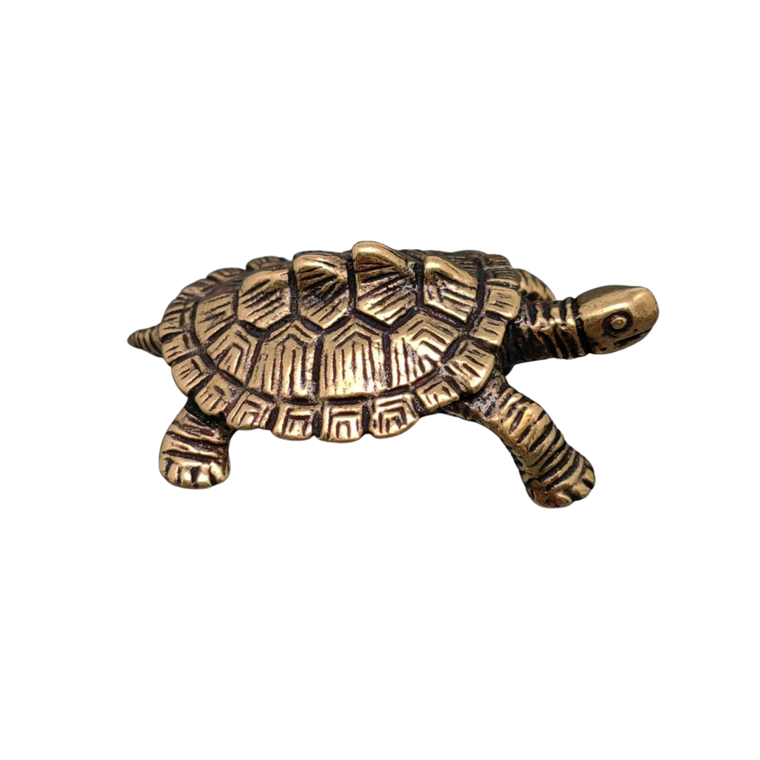 Brass Money Turtle Desktop Ornament