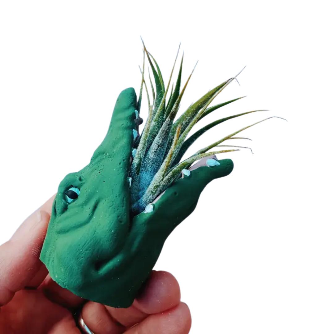 Mini Plant Pot with Air Plant