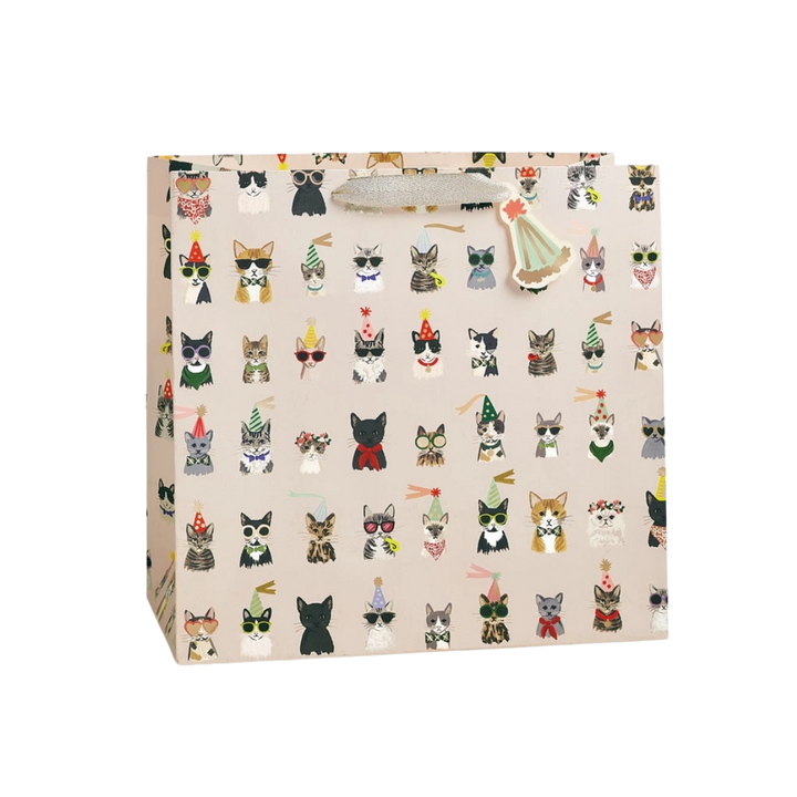 Party Cats Gift Bag