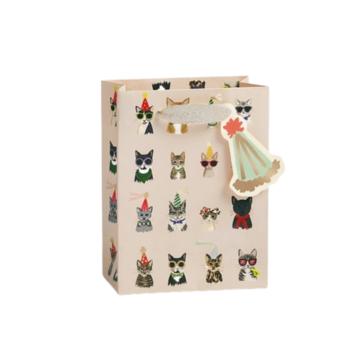 Party Cats Gift Bag