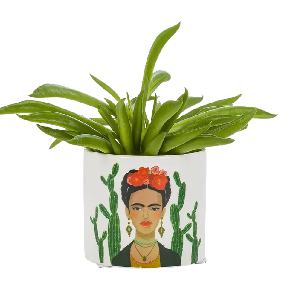 Frida Kahlo Planter - Small