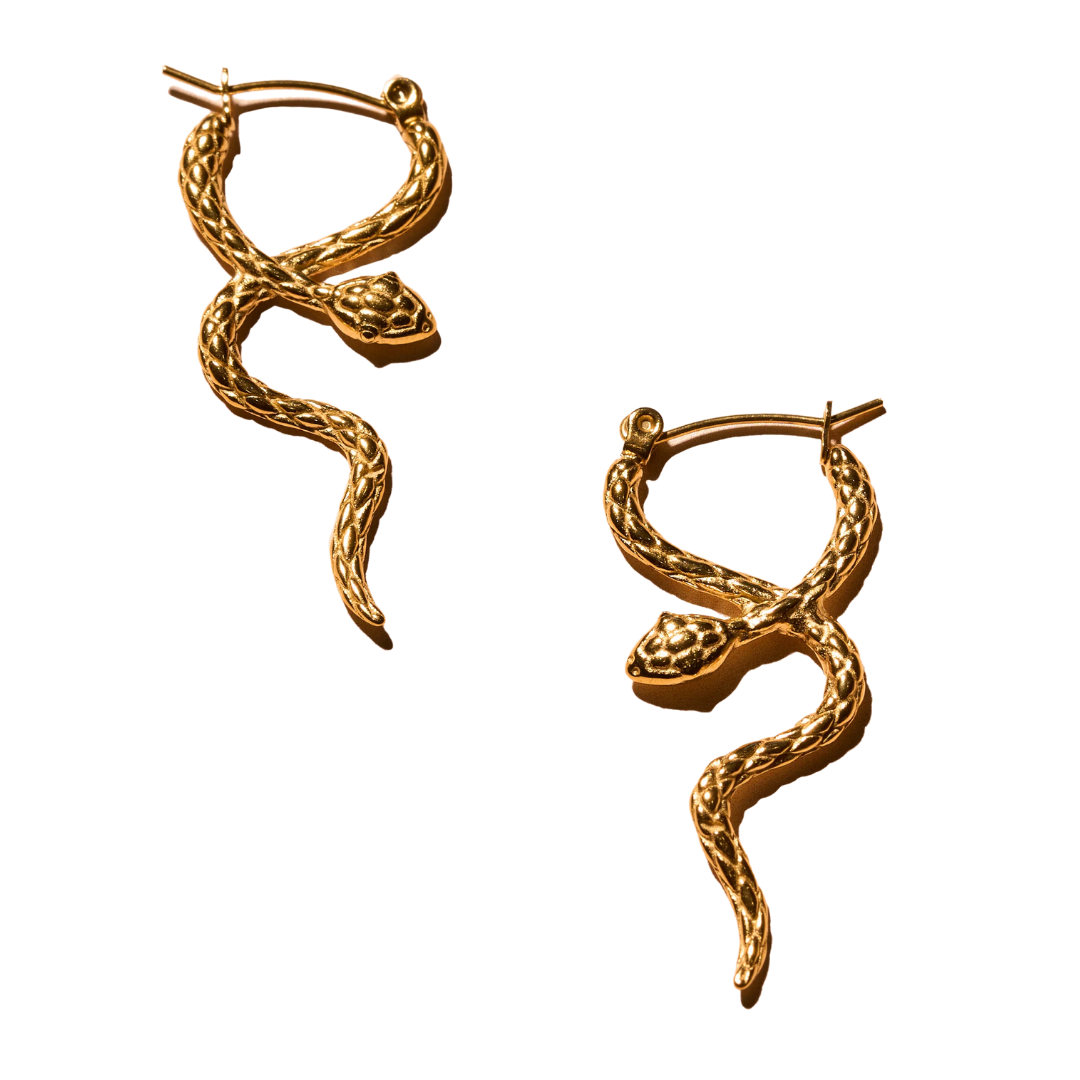 Coil Hoop Earrings