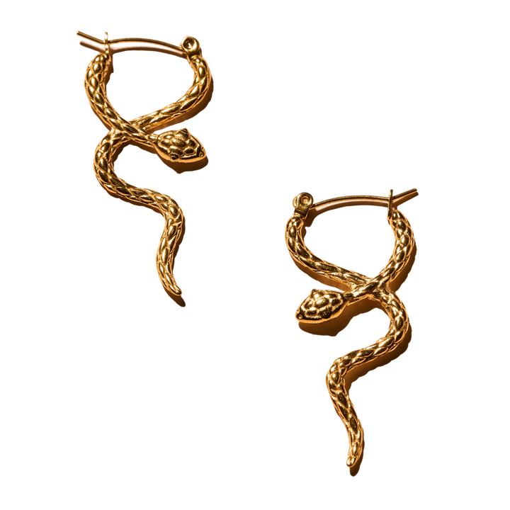 Coil Hoop Earrings