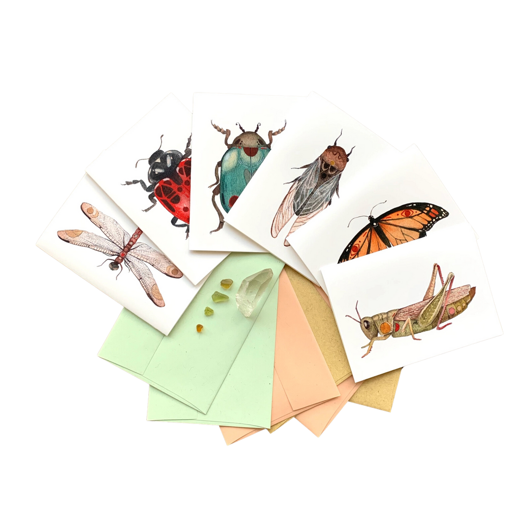 Bug Collection - Greeting Card Pack