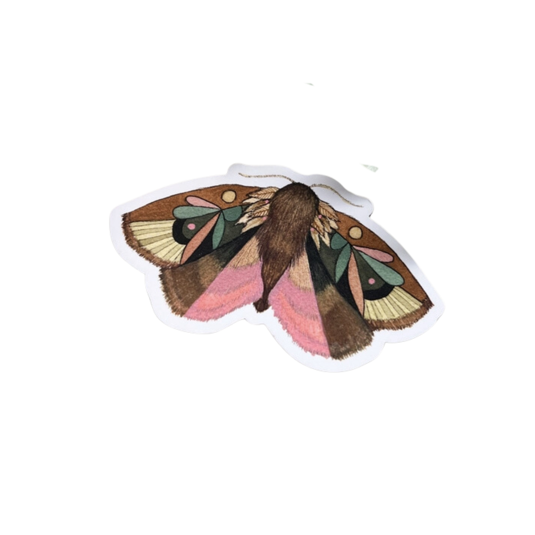 Woodland Magnet - Moth 8