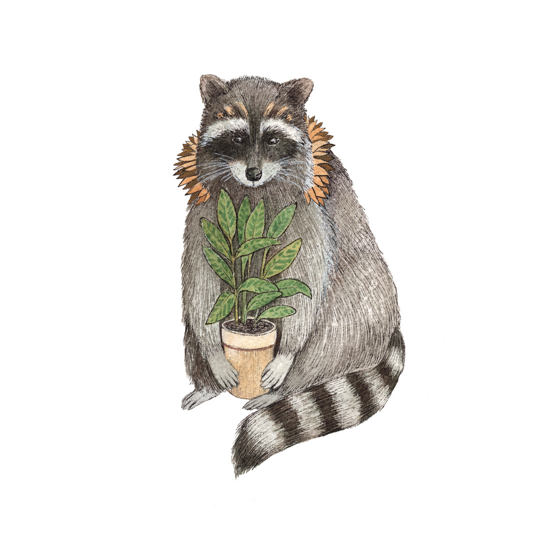 Critters and Plants: Raccoon - Art Print