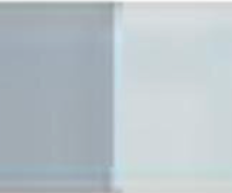 Grey of Grey Holbein Artists’ Oil Color – 20ml