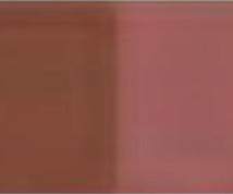 Indian Red Holbein Artists’ Oil Color – 20ml