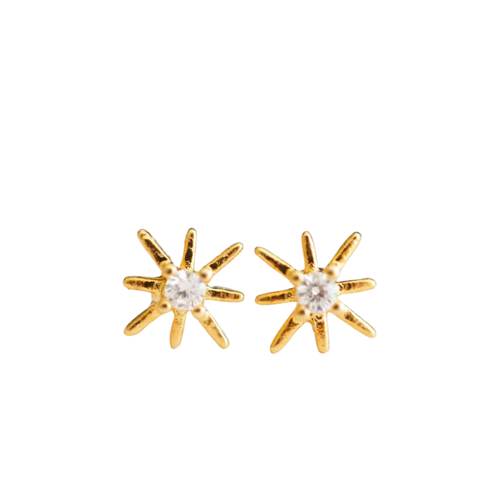 Star Earrings