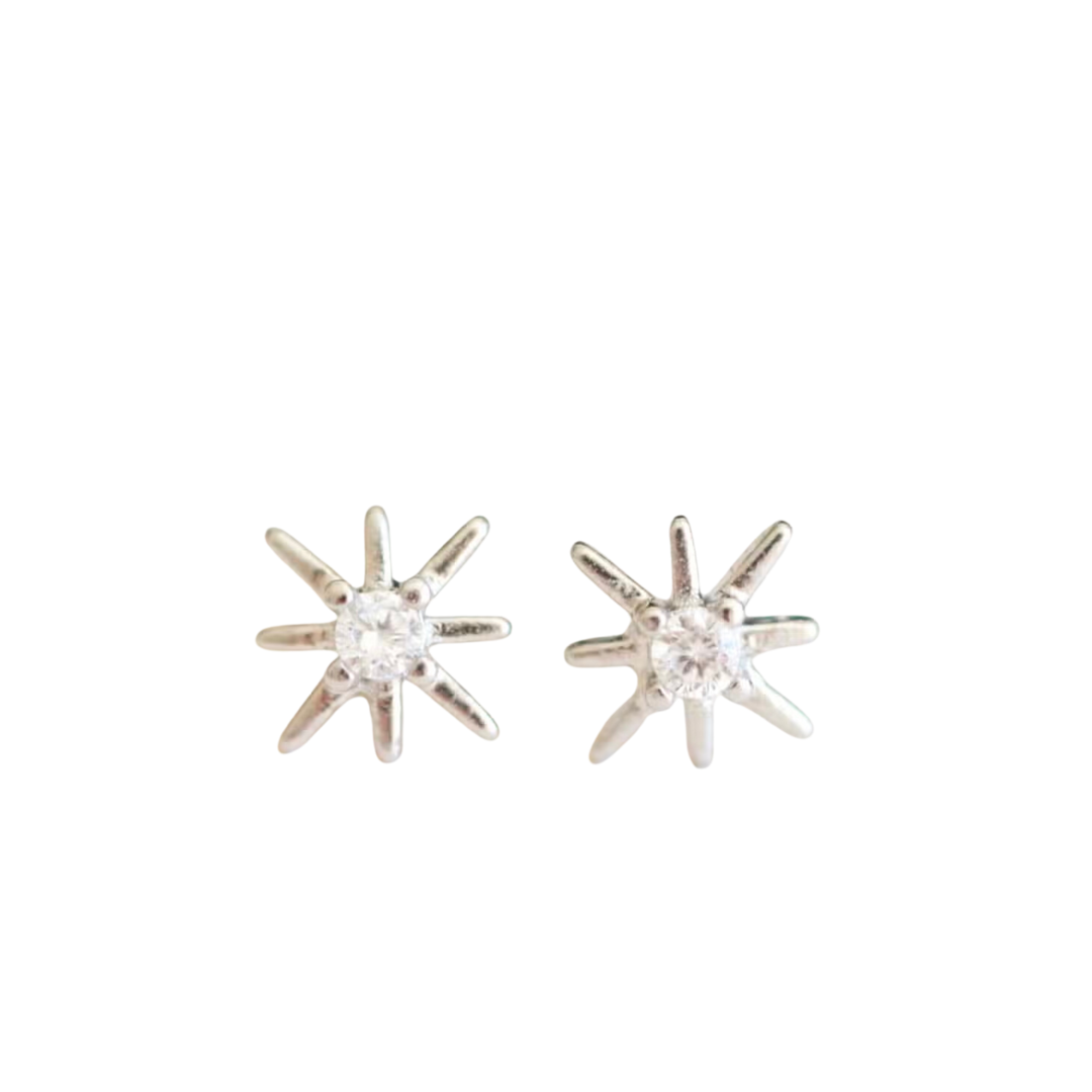 Star Earrings
