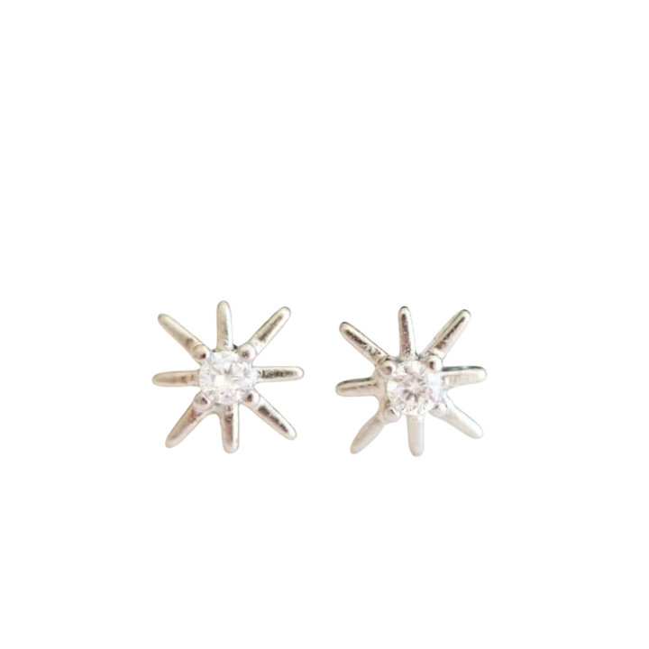 Star Earrings
