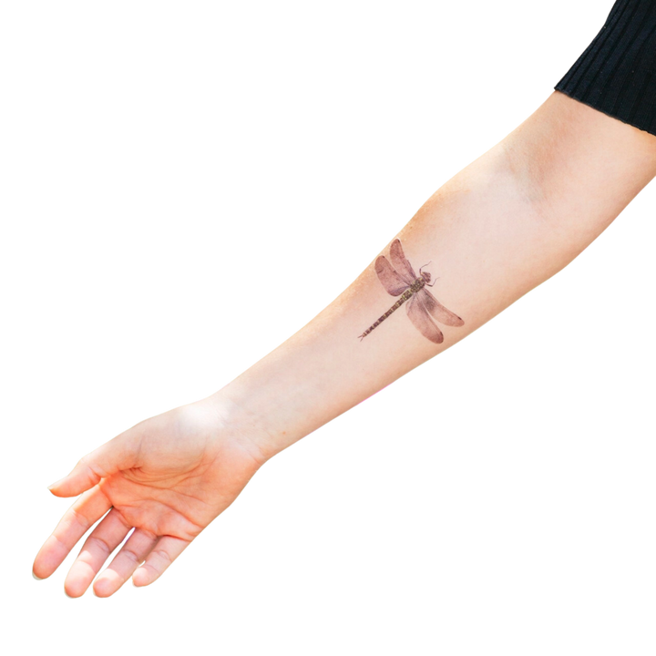 Dragonfly Tattoo Pair