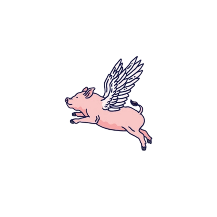 Flying Pig Tattoo Pair