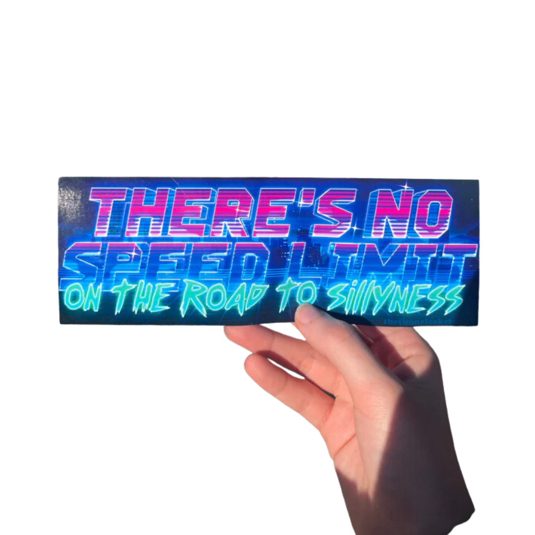 There's no speed limit on the road to sillyness bumper sticker